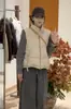 Nuevo Chaleco Ligero de Plumón con Cuello Alto Estilo Coreano para Mujer Otoño e Invierno Prenda Exterior Pequeña Chaleco Espesado de Plumón de Pato Blanco Moderno