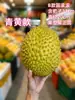Modelo de Durian de Simulación Plástico Falso Almohada Dorada Grande Fruta Tienda de Frutas Decoración de Ventana Atrezo Fruta Falsa Carne Carne