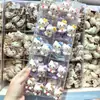 Populares, lindos, coleteros de moño en colores de caramelo con diseños del gato KT, perfectos para coletas de niños y accesorios para el cabello para estudiantes de primaria.