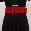 Estilo Coreano Simples Elegante Fivela de Pino Prateada Cinto Anti-Camurça Camurça Cinto de Camurça Feminino Dupla Face Duas Camadas Vedação de Cintura de Couro Bovino