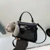 Bolsa Transversal de Moda Exquisita Nova Outono 2025 Bolsa Pequena Bolsa Coreana de Nicho Mini Bolsa de Ombro Transversal