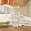 Vaso Decorativo Europeu Retro em Relevo Móveis Hidropônico Pequeno Vaso