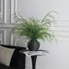 Grama de aspargo especializada para casamentos, grama decorativa e flores para casamentos, arranjos florais de casa estilo ins para nichos