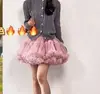 Chique Coreano Primavera Novo Estilo Versátil Cintura Alta Resistente Camadas Tule Rodado Saia Bolo para Mulheres