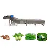 Línea de procesamiento de verduras encurtidas, línea de limpieza de verduras, línea de producción de frijoles congelados rápidos, máquina lavadora de verduras y frijoles congelados rápidos