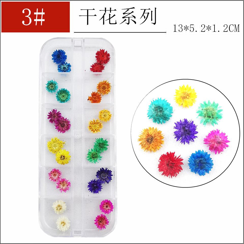 干花3-1_副本1