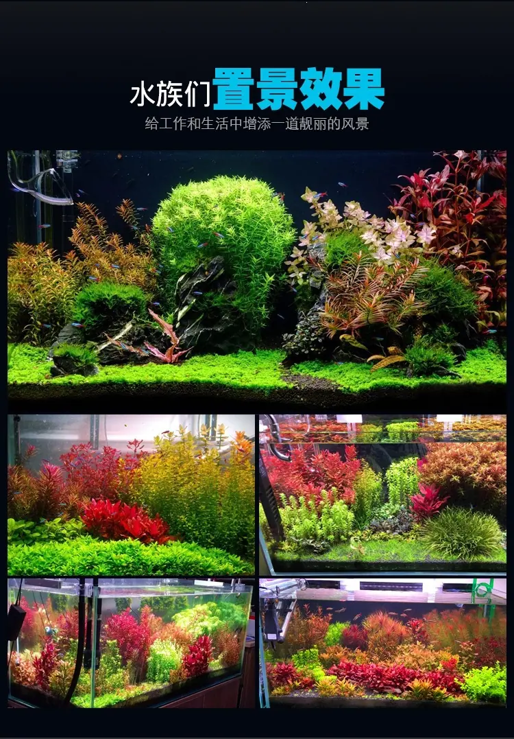 鱼缸植物生长灯_03.jpg