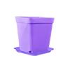 Macetas Cuadradas Pequeñas, Macetas Pequeñas de Flores Coloridas Engrosadas, Macetas para Suculentas, Macetas de Plástico Cuadradas Pequeñas Negras, Macetas para Plántulas, Venta al por Mayor desde Fabricante