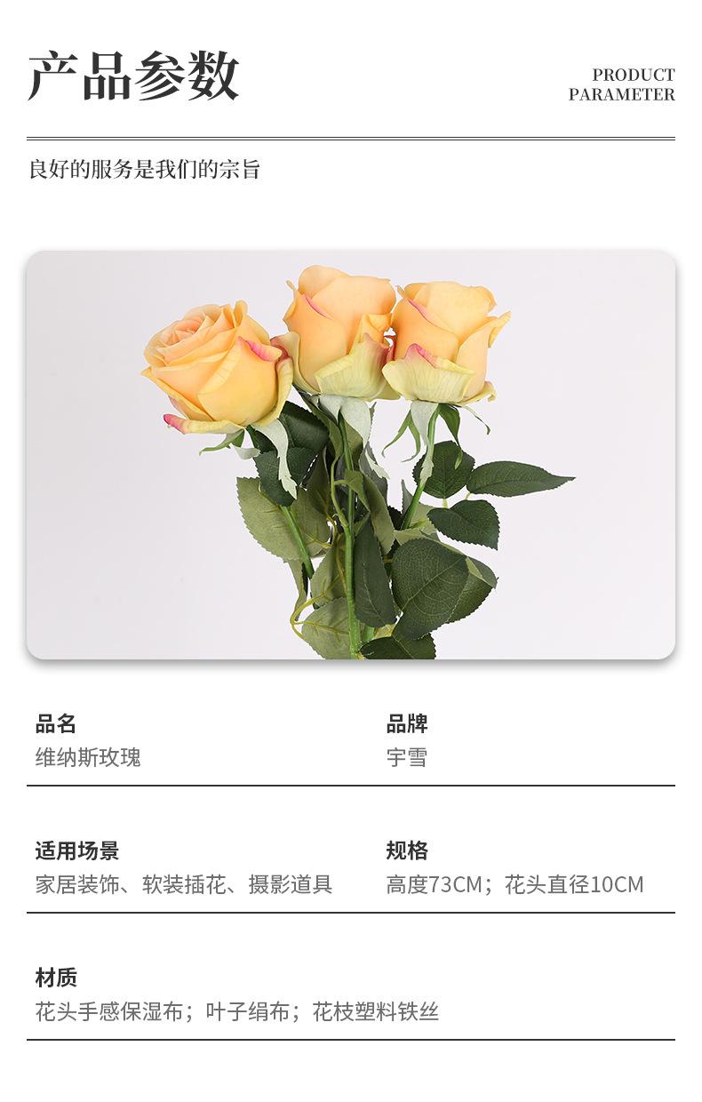 维纳斯玫瑰_02