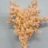 Materiales para Ramo de Fuegos Artificiales Pino Penglai Eterno Ramas Cortas Ramas Largas Materiales Hechos a Mano Arreglo de Ramo Floral