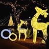 Led Bola con Forma de Animal Ciervo Boceto Iluminación de Paisaje Espectáculo de Luces Navideñas Plaza Césped Luz de Exhibición de Belleza Festival
