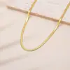 Colar de Osso de Cobra Plano de Aço Inoxidável Dourado 3mm de Luxo Leve Nicho Design Versátil de Lâmina Corrente para Clavícula Colar de Verão para Mulheres