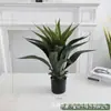Simulação Planta Verde Bonsai Sisal Folha Grande Gladíolo Planta do Deserto Tropical Janela Paisagismo Decoração Planta Artificial Ponto