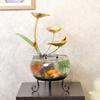 Decoración para el hogar Muebles para el hogar Transfronterizos Adornos para Acuario Pequeño de Vidrio Adornos para Invitar a la Riqueza Escritorio de Sala de Estar Regalo de Inauguración
