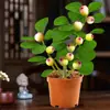 Árbol Bodhi en Maceta Pequeño Bodhi de la Esperanza Bonsái con Fruta Zen Chino Adornos de Escritorio Plantas Verdes Creativas de Interior