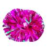 Colorido Colorido Pompon de Animación Mate Mango de Competición Ejercicio de Clase Niños de Escuela Primaria Equipo de Animación con Flor en Mano