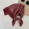 Lenço de Cabeça Hip-Hop Street Europeu e Americano Faixa de Cabelo Estampada Fino Algodão e Linho Quadrado Pequeno Estilo Coreano Moda Versátil Lenço de Cabeça