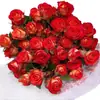 Dropshipping Plántulas de Rosa Multicabezal Burbuja de Alicia Flores de Rosa en Maceta Plantas Trepadoras Árbol Plantas Verdes