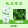 Presente Personalizado de Formatura DIY Plantas em Vasos Infantis Caixa Surpresa Plantas de Escritório Plantas em Vasos Mini Plantio de Mesa em Vaso