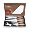 Comercio Exterior Nuevo Juego de Cuchillos con Mango de Madera y Acero Inoxidable Cocina Seis Piezas Cuchillo de Chef Cuchillo de Cocina Caja de Regalo
