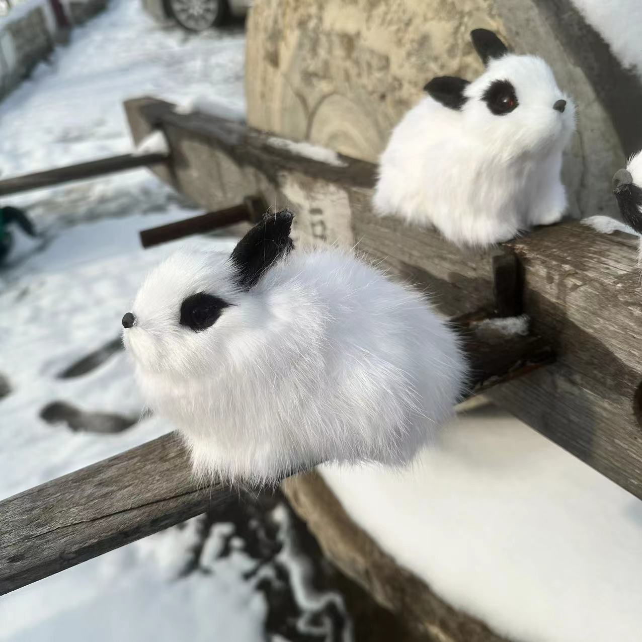 微信图片_202312121359163