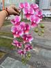 Nueva impresión 3D Phalaenopsis fabricantes de comercio exterior 2 tenedor sienten Phalaenopsis verde boda hogar flores falsas al por mayor