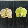 Orquídea Phalaenopsis Flor Artificial Phalaenopsis Cabeza de Flor Grande 9cm Cabeza de Flor Phalaenopsis Recuerdos para Bodas y Fiestas Decoración DIY Regalo