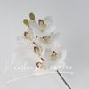 Orquídeas Cymbidium de seis cabezas impresas en 3D Flores artificiales para decoración de escena de boda, Flores falsas para decoración de sala de estar, mesa de comedor y arreglo floral