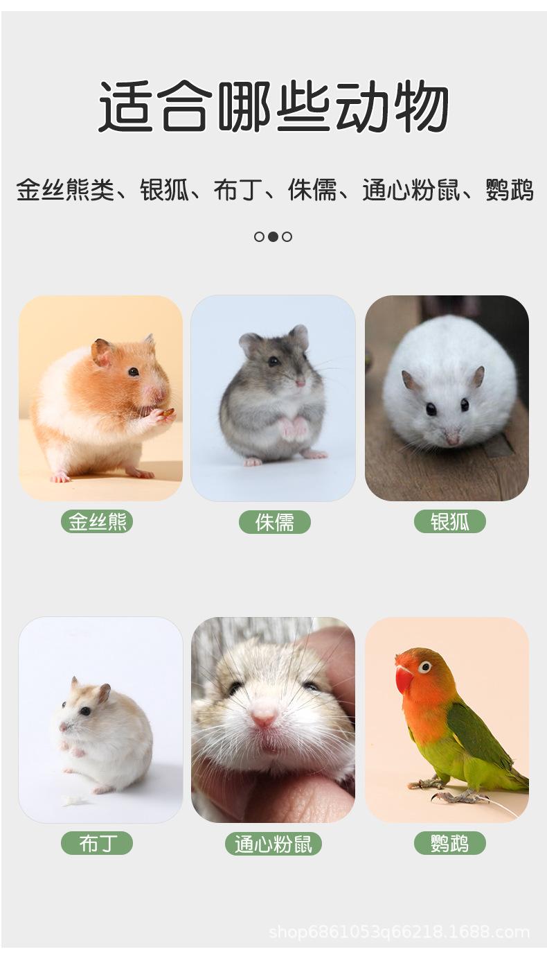 轻奢跑轮_08.jpg