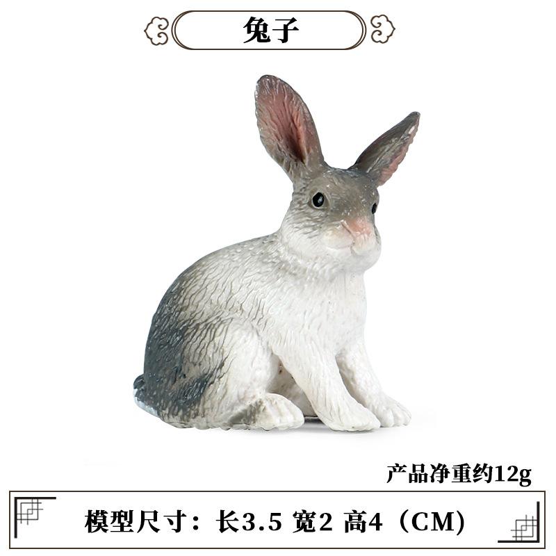 兔子