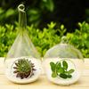 Florero de Vid para Colgar al por Mayor Planta Suculenta Micro Paisaje Decoración Creativa para el Hogar Artesanía Escandinava Zakka