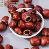 Acessórios de joias feitos à mão, materiais para sinos de vento, chocalhos de casca de fruta natural, chocalhos de sino DIY, chaveiros, pingentes para bolsas
