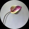 Flor artificial Guanyinlian grande palma vermelha palma branca casamento casamento arranjo de flores ornamentos de fotografia em casa 3D mão flamejante guindaste flor falsa