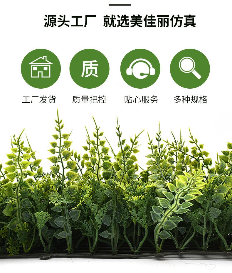 植物墙_02