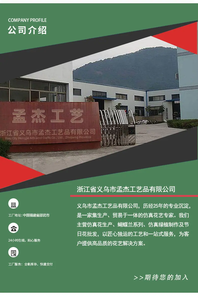 公司介绍