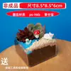 Atividade de AquecimentoMicro Paisagem em Garrafa Suculenta Plantas DIY Materiais Ornamento de Planta em Vaso de Vidro Conjunto de Presente