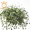 Generación transfronteriza de 1440 AB color cristal para uñas taladro plano para uñas taladro para uñas taladro transparente adornos para uñas de dedo DIY