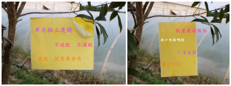 1 _副本