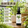 Solução Nutricional de Fórmula Especial para Cica - Previne Folhas Amareladas, Promove o Crescimento, Fertilizante Foliar para Bonsai e Plantas de Vaso, Fertilizante Líquido Orgânico para Ficus