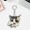 Llavero de Acrílico de Gato Nuevo Divertido Transfronterizo Regalo Creativo