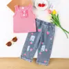 2026 Conjunto de Dos Piezas Rosa sin Mangas de Estilo Dulce Nuevo Más Vendido en Shein Transfronterizo Europeo y Americano + Denim Lavado