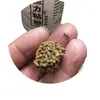 Potenciador de Adhesivo para Peces Transfronterizos de Pesca Salvaje, Compañero de Lombriz Roja, Polvo para Sumergir Cebo para Peces Resbaladizos, Polvo Adhesivo para Anzuelo Vacío, Polvo Adhesivo para Cebo de Pesca de Alta Viscosidad