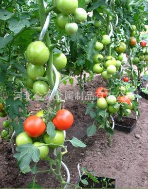 $HTH%311I)9LNCZ(E)Q16PO