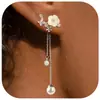 Pendientes de Perlas Artificiales de Cadena Larga de Lujo de Alta Gama Más Vendidos Transfronterizos con un Diseño de Circonita, Adecuados para un Atuendo de Fiesta con Temática de Bosque