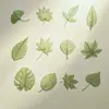 Marcadores de Efecto Organza Imitación (Productos de Plástico) Colección Uno