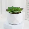 Combinación de plantas suculentas para simulación transfronteriza planta en maceta con maceta tierra escritorio interior mini carne planta pequeña en maceta planta verde flores