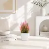 Set de Plantas Artificiales Rosas Nórdicas en Maceta Pequeña, Hermosos Artículos Decorativos para Sala de Estar, Dormitorio, Área de Oficina, Flores Falsas para Sesiones de Fotos
