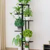 Soporte para Flores para Sala de Estar, Estante de Almacenamiento de Hierro para Interiores, Balcón, Hogar, Soporte de Múltiples Niveles para Macetas, Exhibición de Plantas Verdes
