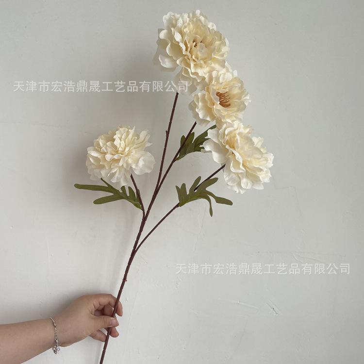 微信图片_202206101507039_副本
