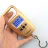 Balanza Portátil 50kg Satchel Wh-A17 Weiheng Balanza Satchel Weiheng Mayorista Coreana Doméstica Balanza para Granos